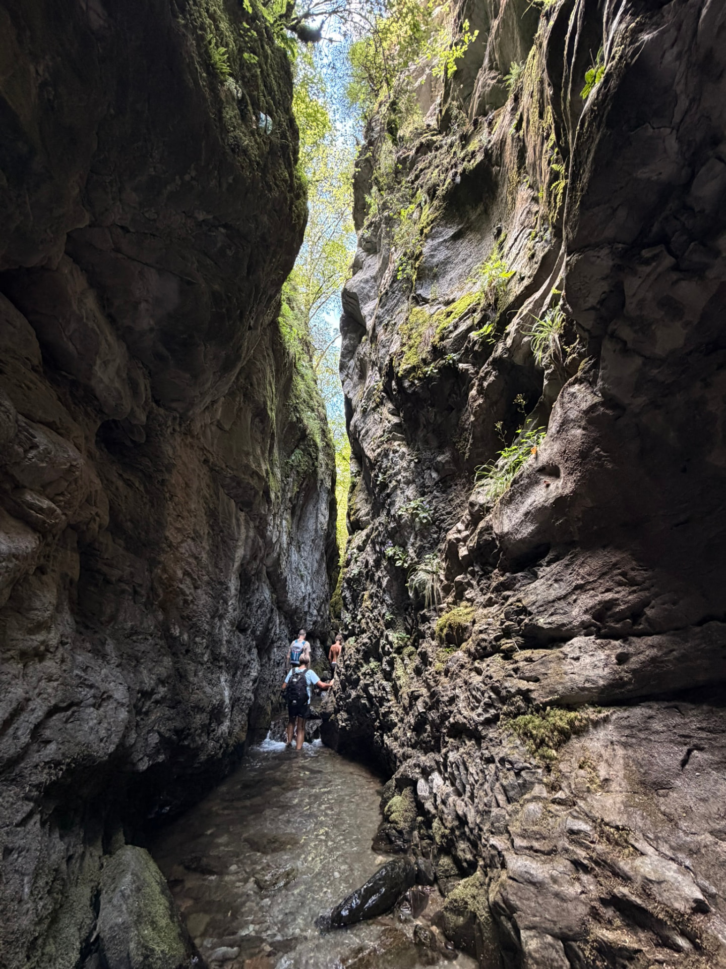 Desfiladero de roca caliza en Queralbs